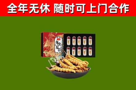 台州烟酒回收冬虫夏草礼盒.jpg